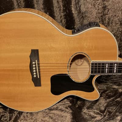 Guild F65ce Westerly Rhode Island Limited Top of the Line Model image 6