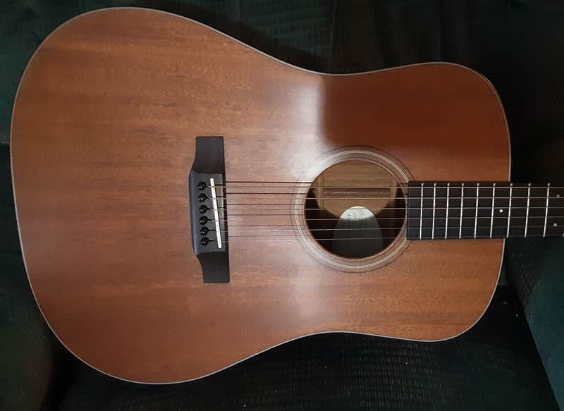 Breedlove Revival USA Custom Shop hog top Dread image 1