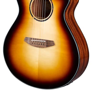 Breedlove Discovery S Concert Edgeburst CE European-African mahogany image 2