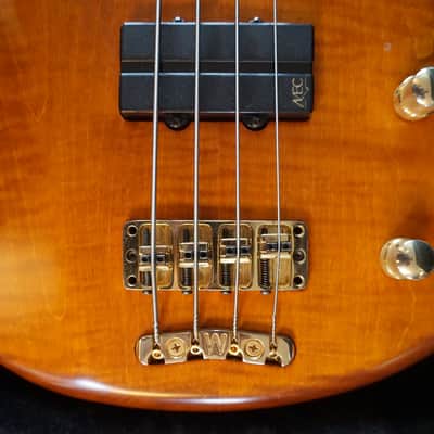 1996 Warwick Fortress Masterman 4-String Bass image 6