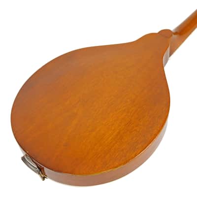 Vintage 1952 Gibson A-40 Mandolin Sunburst | Reverb