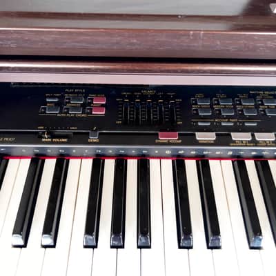 Technics Digital Ensemble Electric Piano Pr307/K 1996 - WOOD image 3