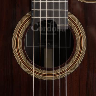 Cordoba  Fusion 12 Rose Classical Acoustic-Electric Guitar image 5