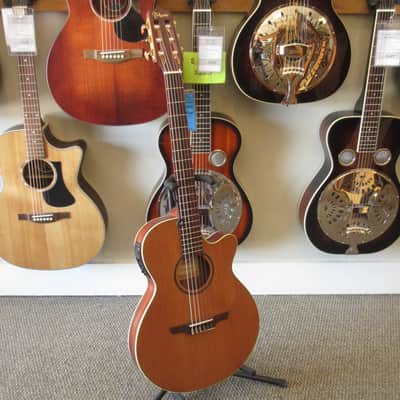 Takamine TSP148NC NS 2019 image 2