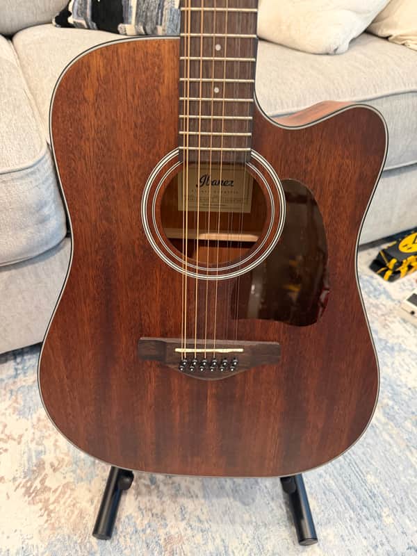 Ibanez AW5412CE-OPN Artwood 12-String 2018 - Present - Natural image 1