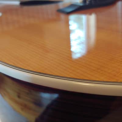 Taylor 855 12-string acoustic guitar - mint condition! image 4