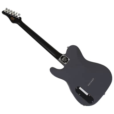 Schecter PT EX guitar in Dorian Gray B-Stock 0710 image 5