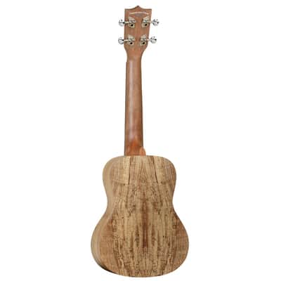 Immagine Tanglewood TWT 10 Concert Ukulele, Natural Satin W/Gig Bag - 4