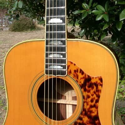 Rare "Japan Vintage" Yamaha N-700 Miyuki Nakajima (1978) + Yamaha Rocket Hard Case plus more extras image 3