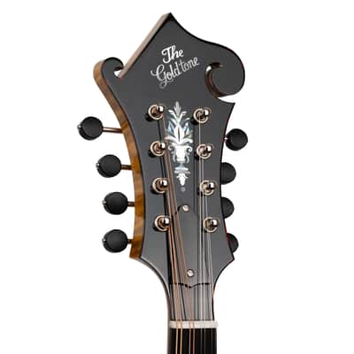 Gold Tone Grandmaster Elite Old Swiss/Italian Spruce Top 8-String Mandolin w/Hard Case image 8