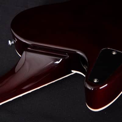 Michael Kelly Hybrid Special, Spalted Maple Burst Top, Chambered Mahogany Body image 11