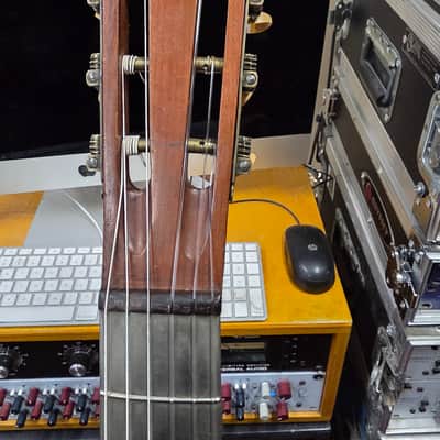 Wolfram The Triumph Metal Fret Board Slotted Headstock 12 Fret Parlor 1890s 1900s 1910s image 3