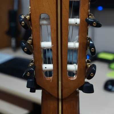 Giannini Asturias 7 String Classical Guitar with - Handcrafted in Brazil - GNC4/7 image 8