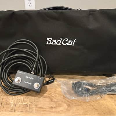 Bad Cat Hot Cat 45 image 6