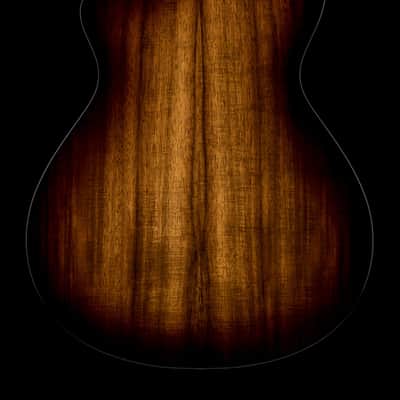 Taylor 222ce-K DLX #06475 image 2