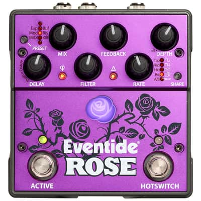 Rose Delay Eventide Bild 2