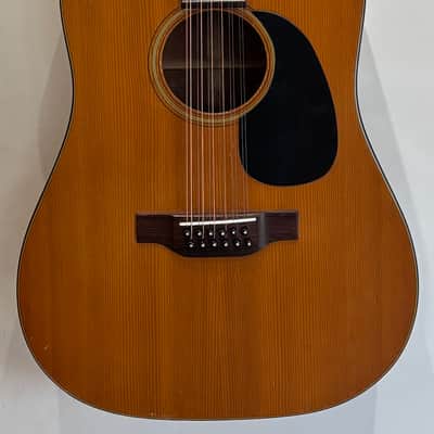 1969 Martin D12-20 & Hardshell Case image 2