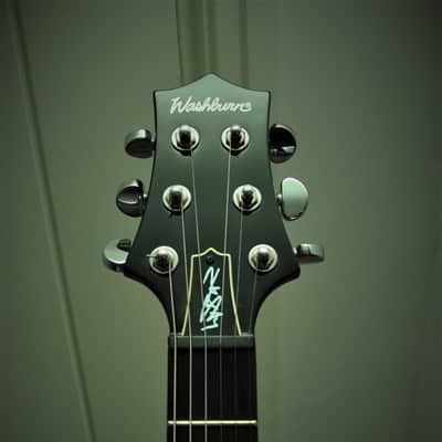 Washburn SI60 Scott Ian Signature "Murder Weapon" image 3