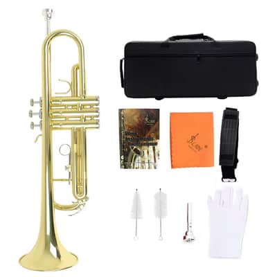 Professional Bb Trumpet for Students & Beginners – Brass B Flat Trumpet Set with Hard Case, Mouthpiece, Gloves, Cleaning Cloth & Shoulder Strap | School Band & Concert Instrument image 5