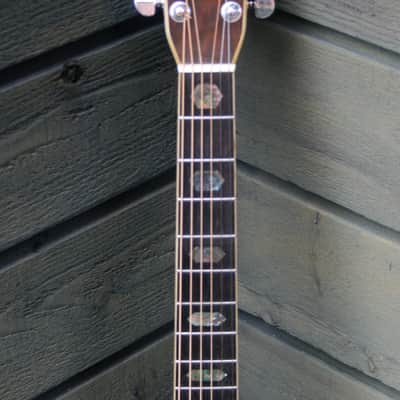 1975 Yairi YW-600 Dreadnought Guitar New Jacaranda Natural+Vintage Hard Case Bargain! image 5