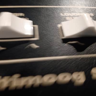 Moog Multimoog 1978 - 1981 - Black image 6