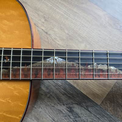 Breedlove Custom Shop "Trip Cascade" Concertina image 14