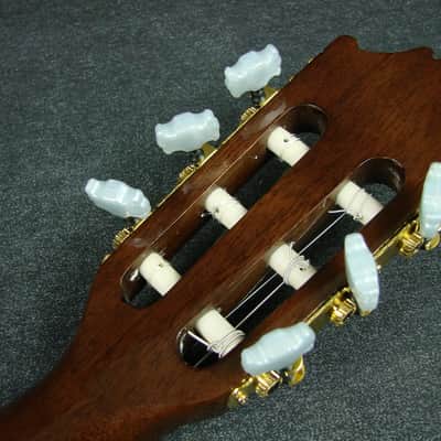 Salvador Ibanez GA5TCE-14-01 Thinline Classical Acoustic/Electric Guitar image 10