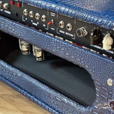 Amplified Nation Phoenix Fury 50W Head – Blue Croc image 8