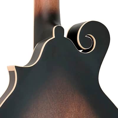 Gold Tone F-6 F-style 6-String Acoustic-Electric Mando-Guitar - Vintage Sunburst image 7