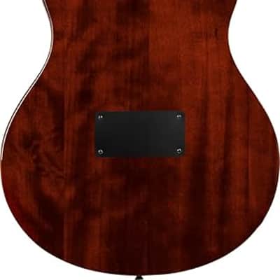 Ortega RTPDLX-ACA Thinline Acoustic/Electric Classical Guitar image 3