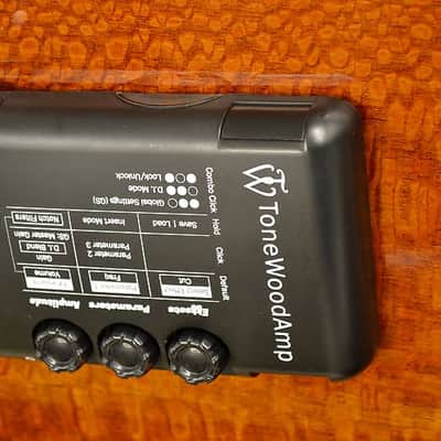 HONZ Tech ToneWood Amp for Acoustic Guitar image 14
