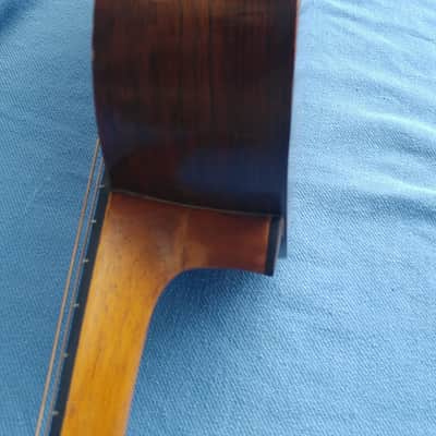 all original 1892 Washburn Parlor Adirondack Top Brazilian rosewood image 14