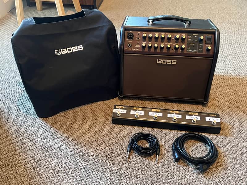 Mint BOSS ACS-Live Gig Package image 1