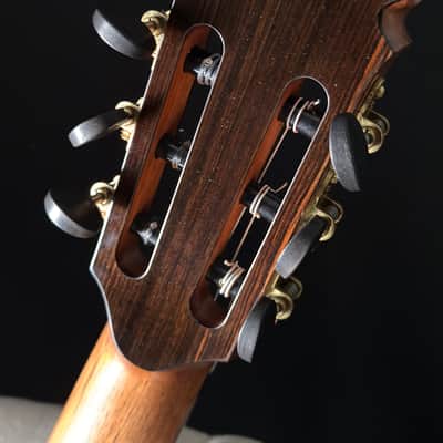 Keisuke Fujii Jazz Nylon with Carlos VIP-DM System image 15