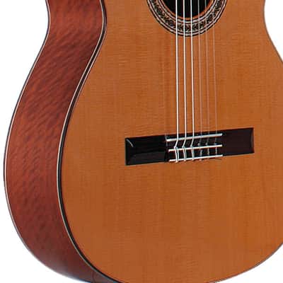 Prudencio Saez 16 with case - Classical Guitar image 2