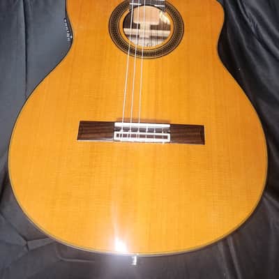 Cordoba Classical Nylon String Acoustic-Electric Guitar – Cedar/Rosewood – Fishman – Gig Bag Model C7-CE CD/IN - Natural image 1