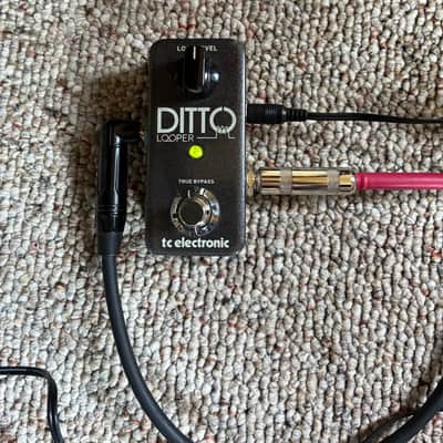 TC Electronic Ditto Looper 2013 - Present - Black image 3