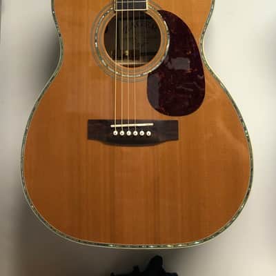 Zager ZAD-80 OMCE  EZ-Play image 5