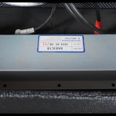 2025 ToneTron Billy Rocker 10 Reverb image 16
