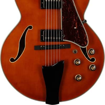 Ibanez Artcore Expressionist AF95DA Hollowbody Electric Guitar - Dark Amber image 2