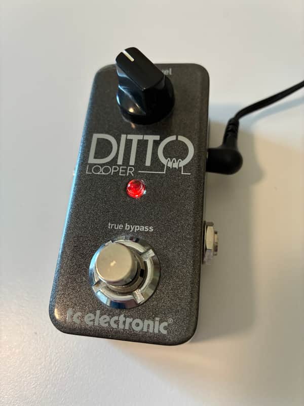 TC Electronic Ditto Looper 2013-Present | Reverb