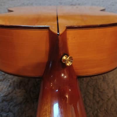 Antonio Raya Pardo Granada  - French Polish image 9