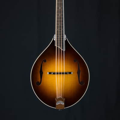 Collings MT2 Mandola Sunburst Adirondack Spruce and Flamed Maple NEW image 2