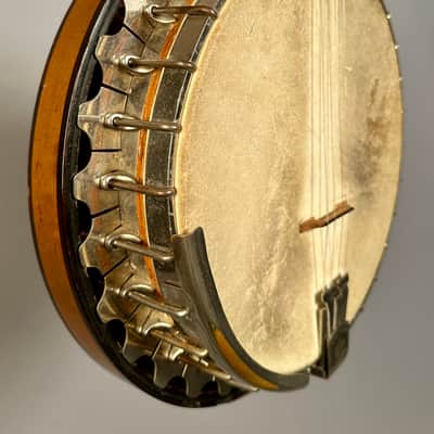 Vega Tubaphone Professional Tenor Banjo 1924 image 4