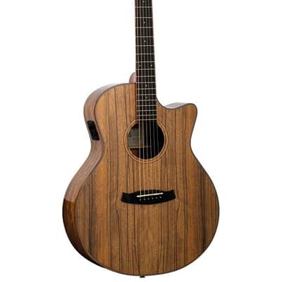 TANGLEWOOD GUITARRA ACÚSTICA TANGLEWOOD SERIE WINTERLEAF EXOTIC PACIFIC WALNUT image 1