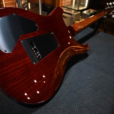 PRS Wood Library DGT 10-Top Ebony - Copperhead Cherry Burst #2554 image 12