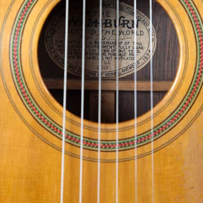 Washburn Model 330 1905-1917 / Grand Concert Size / Breathtaking! / July Special!!! image 22
