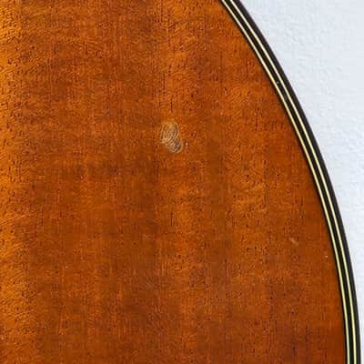 1978 Terada Atlanta 12-String image 12