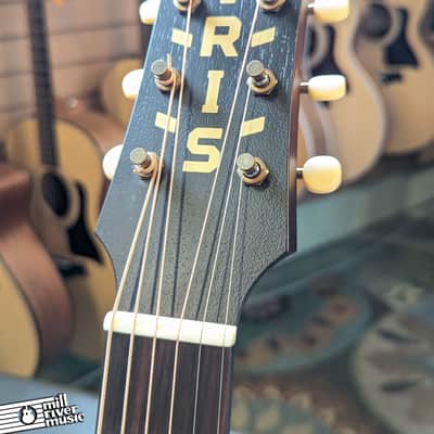 Iris DF Burst w/ White binding and Firestripe pickguard Acoustic Guitar image 4