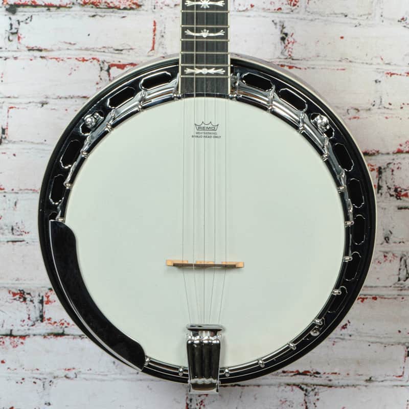 Fender - 2010 FB-58 - Resonator 5 String Banjo - w/OHSC - x0058 - NOS image 1